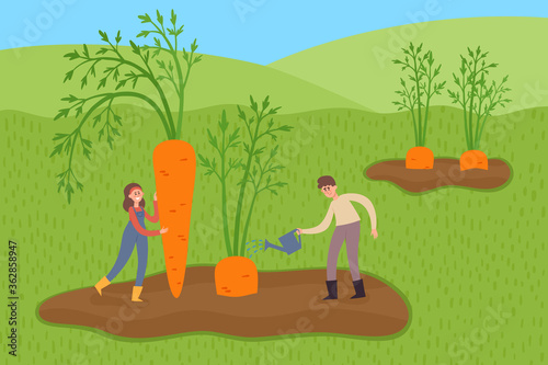 Organic farming illustration with tiny farmers and big carrots