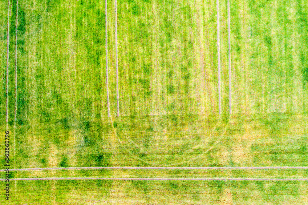 Tractor traces on green field Tractor traces on green field