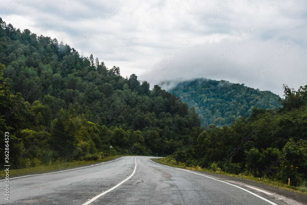 View from a moving car on a road