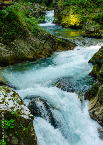 Rapid flow, Vintgar Gorge, Slovenia.