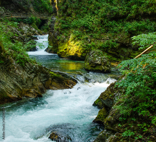 Rapid flow  Vintgar Gorge  Slovenia