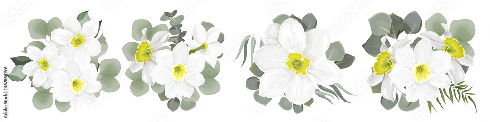 Vector flower set. Beautiful white daffodils. Different plants and leaves, eucalyptus. Flowers on a white background. Vector flower set. Beautiful white daffodils. Different plants and leaves, eucalyptus. Flowers on a white background.