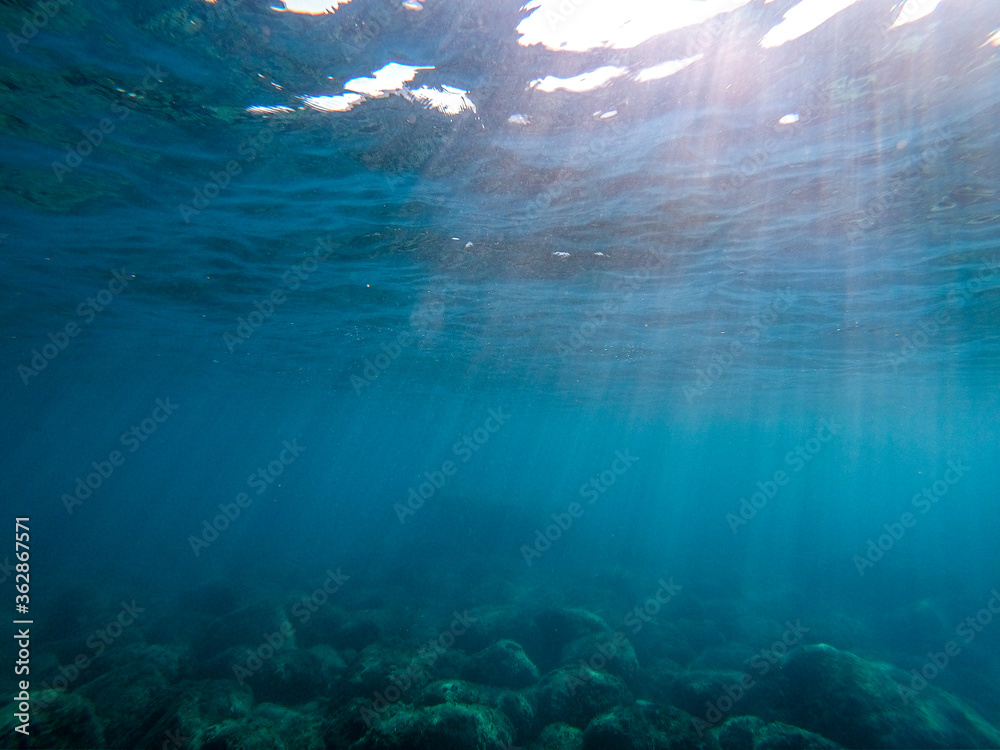 the sun's rays fall from above, penetrating seawater to the bottom the sun's rays fall from above, penetrating seawater to the bottom
