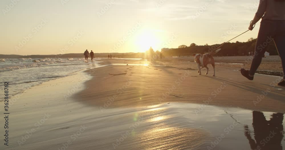 Couple holding each other's hands and walking on the beach during sunset. Caucasian couple enjoying time at the beach, walking by the sea in slow motion. Couple holding each other's hands and walking on the beach during sunset. Caucasian couple enjoying time at the beach, walking by the sea in slow motion.