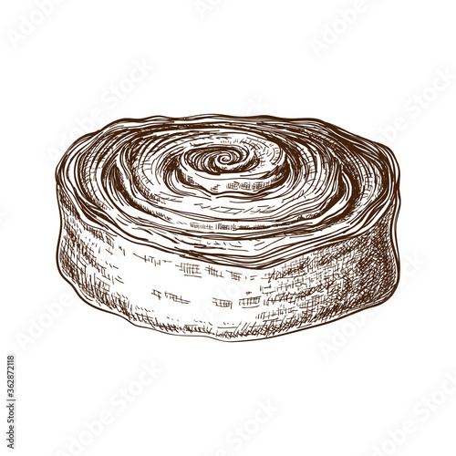 hand drawn sweet bun or roll with cinnamon or filled with poppy seeds. pastry sketch. Vector illustration of danish or swedish dessert. poppy bun for breakfast. cinnamon or cocoa snail, tasty swirls.