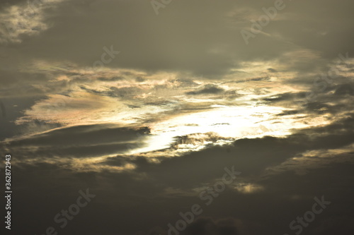 Nature, Plants, Flowers, Greenery, Sky, Sun, Freedom