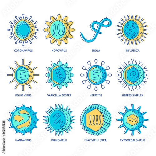 Human virus types icon set in colored line style
