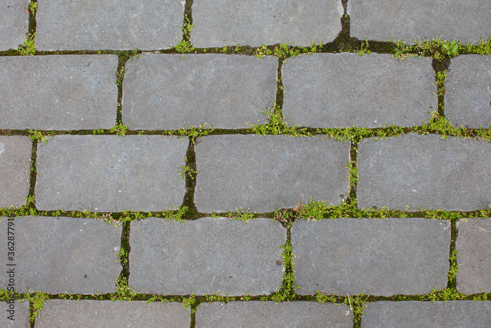 Grey horizontal rectangular pavement with grass pattern Grey horizontal rectangular pavement with grass pattern