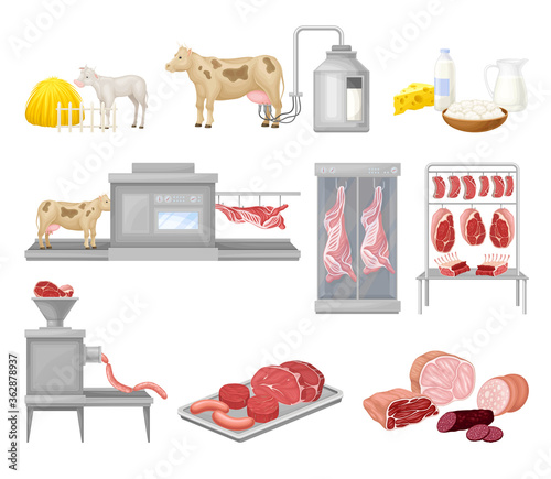 Meat and Sausage Products Automated Factory Production Line Process Vector Set