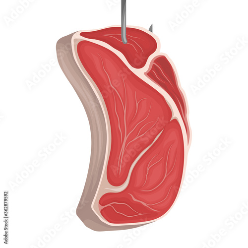 Raw Tenderloin Hanging on Metal Hook Vector Illustration