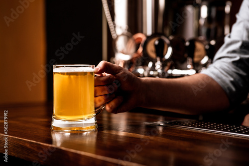 Mug of beer for client. Bartender puts light lager on wooden brown bar counter
