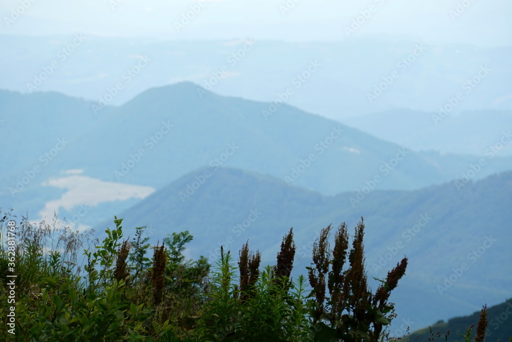 Blue Mountain landscape perspective, Mala Fatra mountain, Slovakia Blue Mountain landscape perspective, Mala Fatra mountain, Slovakia
