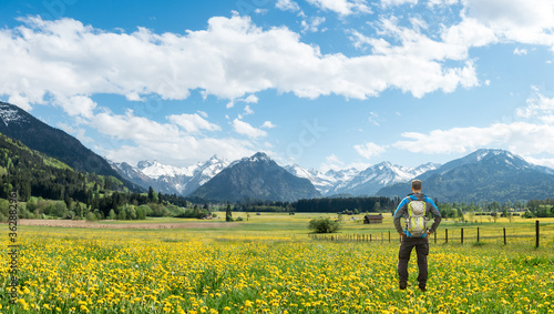 Wallpaper Mural Hiker with Backpack standing on Hawkbit Flower meadow and View to panoramic Snow covered mountains with clouds and blue sky . Bavaria, Alps, Oberstdorf, Rubi, Allgau, Germany. Torontodigital.ca