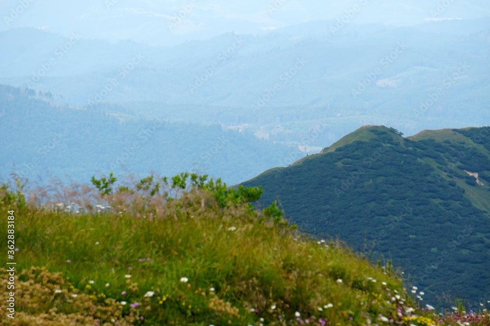 Landscape with blue Mala Fatra mountains in Slovakia Landscape with blue Mala Fatra mountains in Slovakia