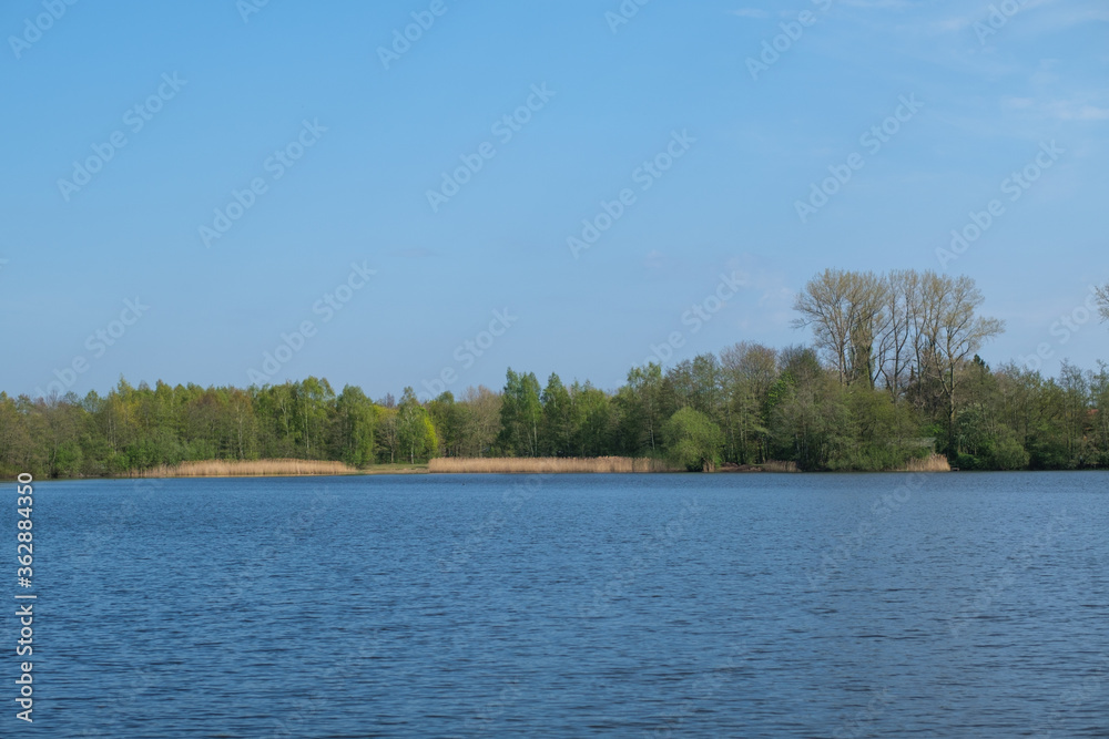 Fototapeta premium See Emsland Natur