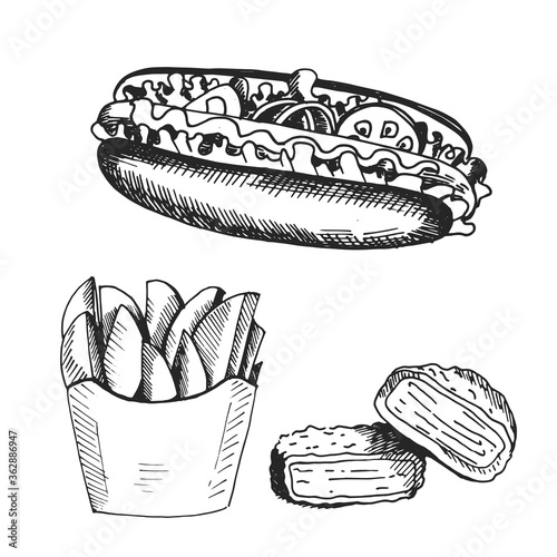 Hand drawn icons for food menu with hot dog, fried chiken nuggets and french fries. Fast food vector. Great vintage line drawing sketch for coloring book, brochure or leaflet design