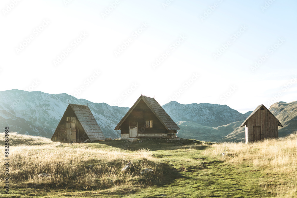 Traditional wooden summer houses