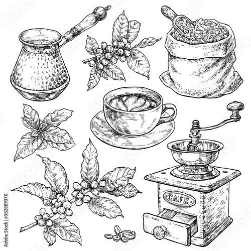 Retro style coffee set. Hand drawn vintage vector elements in engraving style.    