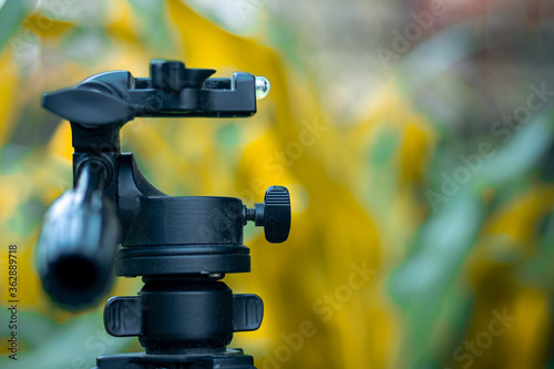 Camera Tripod against the greenery of the forest.