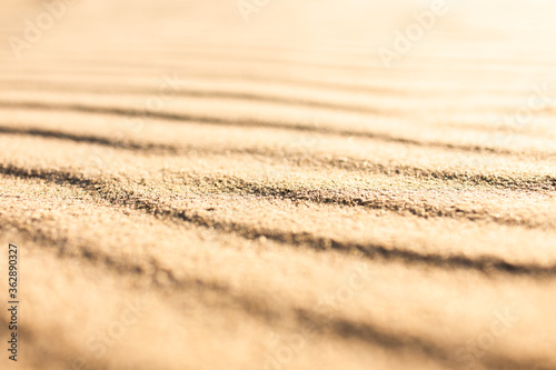 Wavy pattern sandy texture of clean beach sand surface. Coastline travel background with copy space, selective focus.