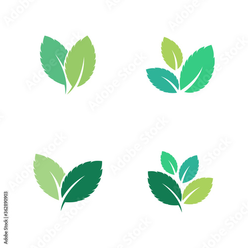Set of Mint leaves flat vector color icon