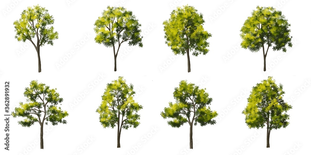 Set of tree side view for landscape and architecture elements
Set of tree side view for landscape and architecture elements