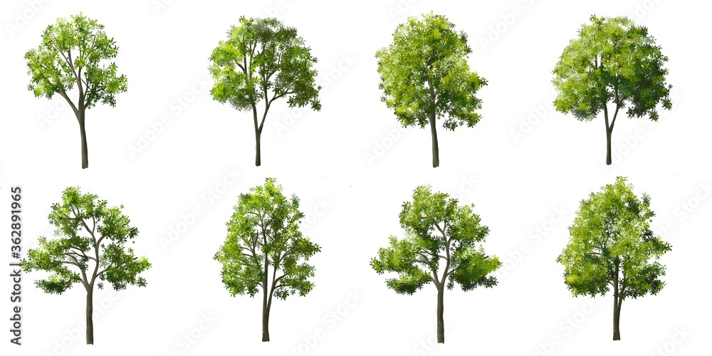 Set of tree side view for landscape and architecture elements
Set of tree side view for landscape and architecture elements