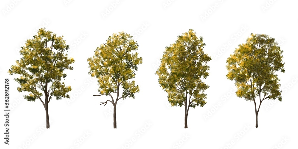 Set of tree side view for landscape and architecture elements
Set of tree side view for landscape and architecture elements