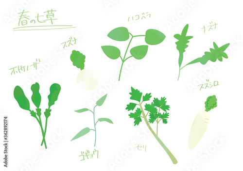 春の七草のイラストセット