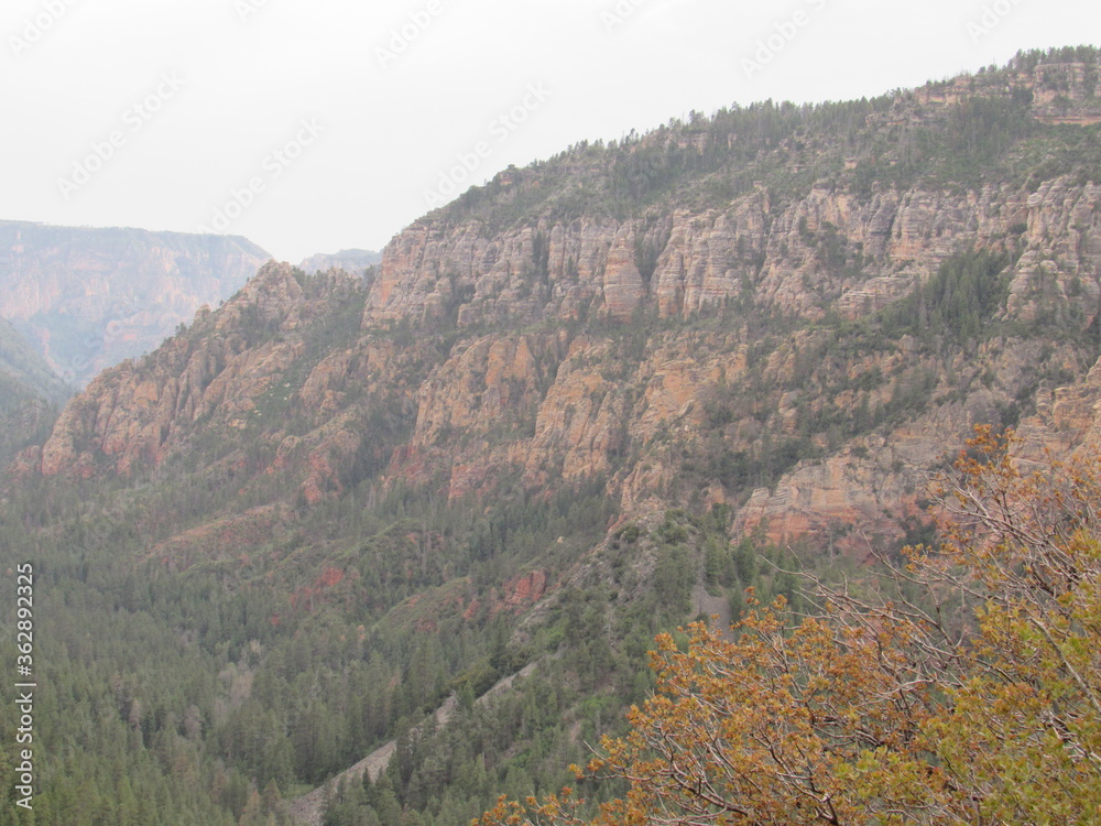 Fototapeta premium SEDONA, ARIZONA, USA, EEUU