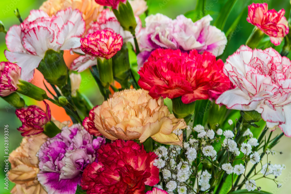 Beautiful bouquet of very brightly coloured carnations Beautiful bouquet of very brightly coloured carnations