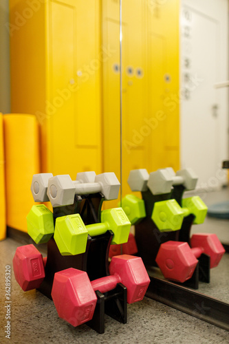 Pyramid of colored dumbbells in the gym
