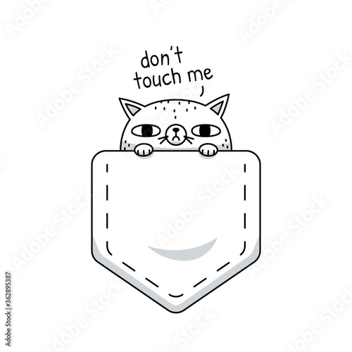 Funny angry asocial cat in a pocket. Awesome for t-shirt design