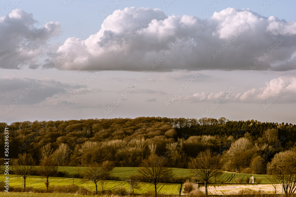 Landscape shot with fields, trees and clouds