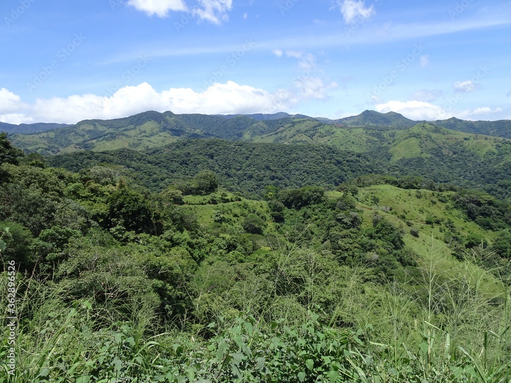 Obraz premium 緑景色（コスタリカ）