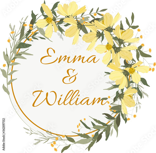 Hand drawn green eucalyptus, fern, chamomile, cosmey flowers, isolated template vector illustration. photo