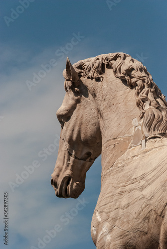 Horse sculpture in Rome