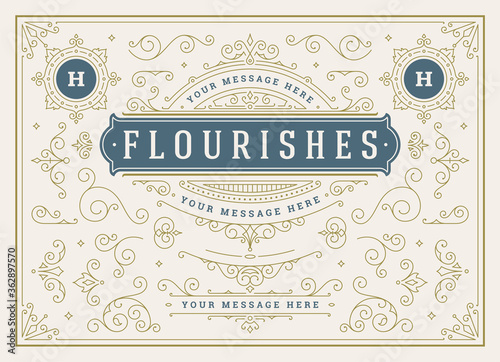 Vintage ornaments swirls and scrolls decorations design elements vector set, flourish ornate calligraphic combinations