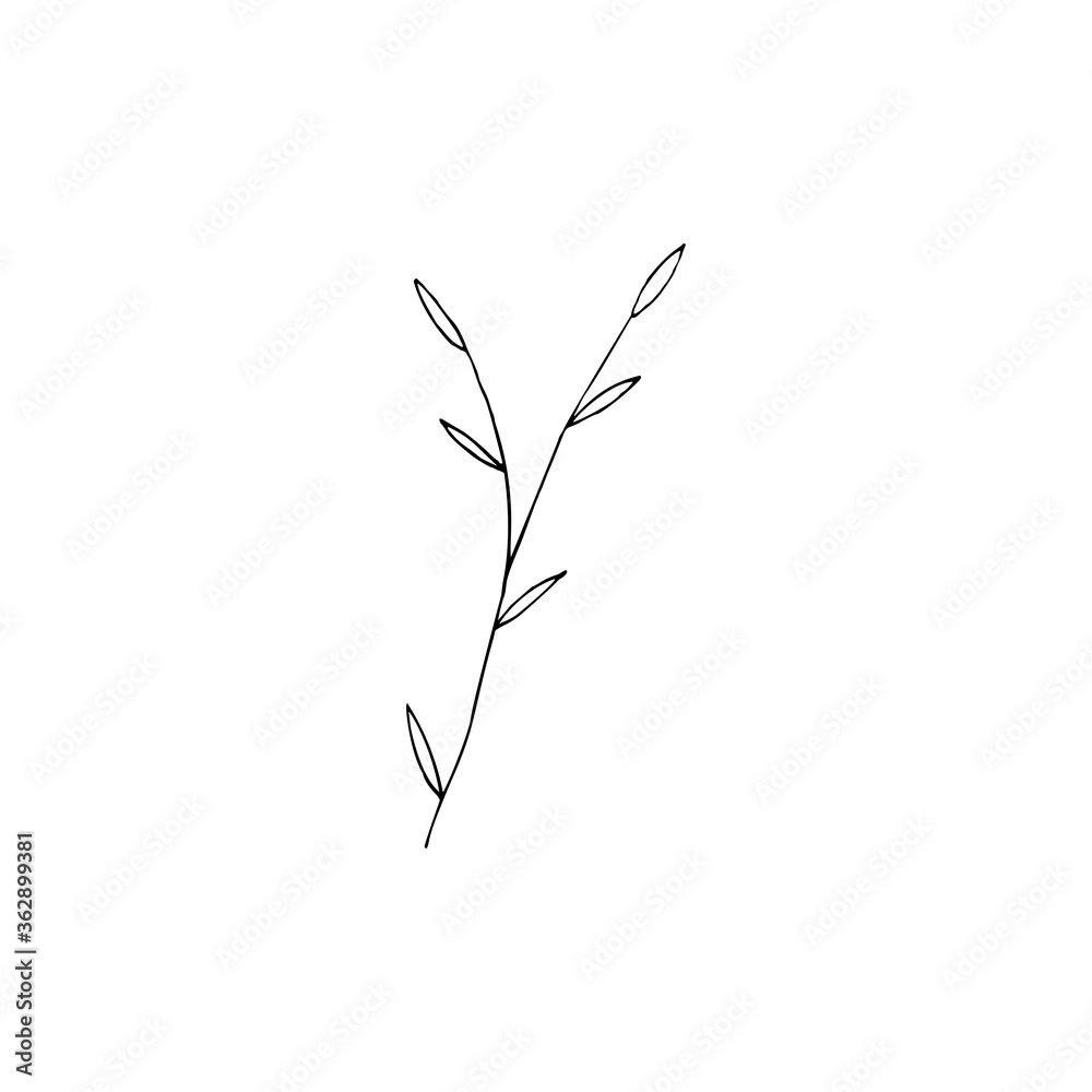 Fototapeta premium Contour foliage. Black and white line art decoration of leaves. Vector isolated clipart. Minimal monochrome hand drawing botanical design.