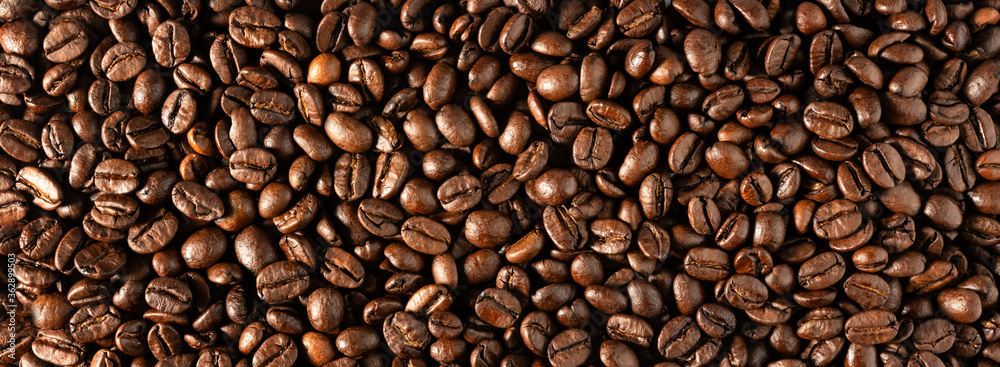 Fototapeta premium Coffee beans - widescreen (panoramic) background