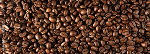 Coffee beans - widescreen  panoramic  background