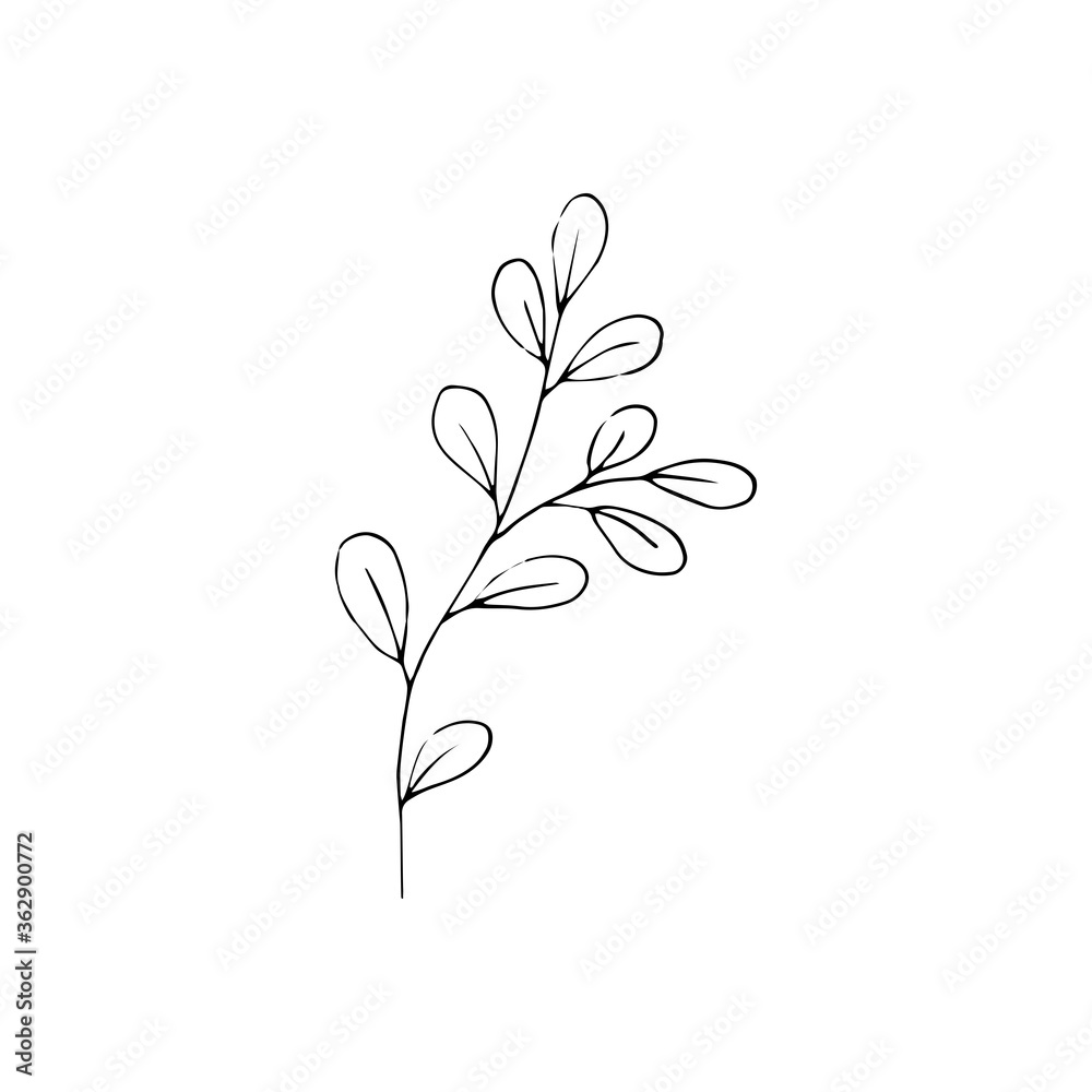 Black and white line art decoration of leaves.  Vector isolated clipart. Minimal monochrome hand drawing botanical design. Contour engraving foliage