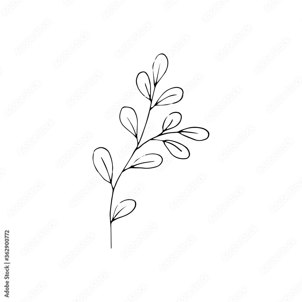 Black and white line art decoration of leaves. Vector isolated clipart. Minimal monochrome hand drawing botanical design. Contour engraving foliage Black and white line art decoration of leaves. Vector isolated clipart. Minimal monochrome hand drawing botanical design. Contour engraving foliage