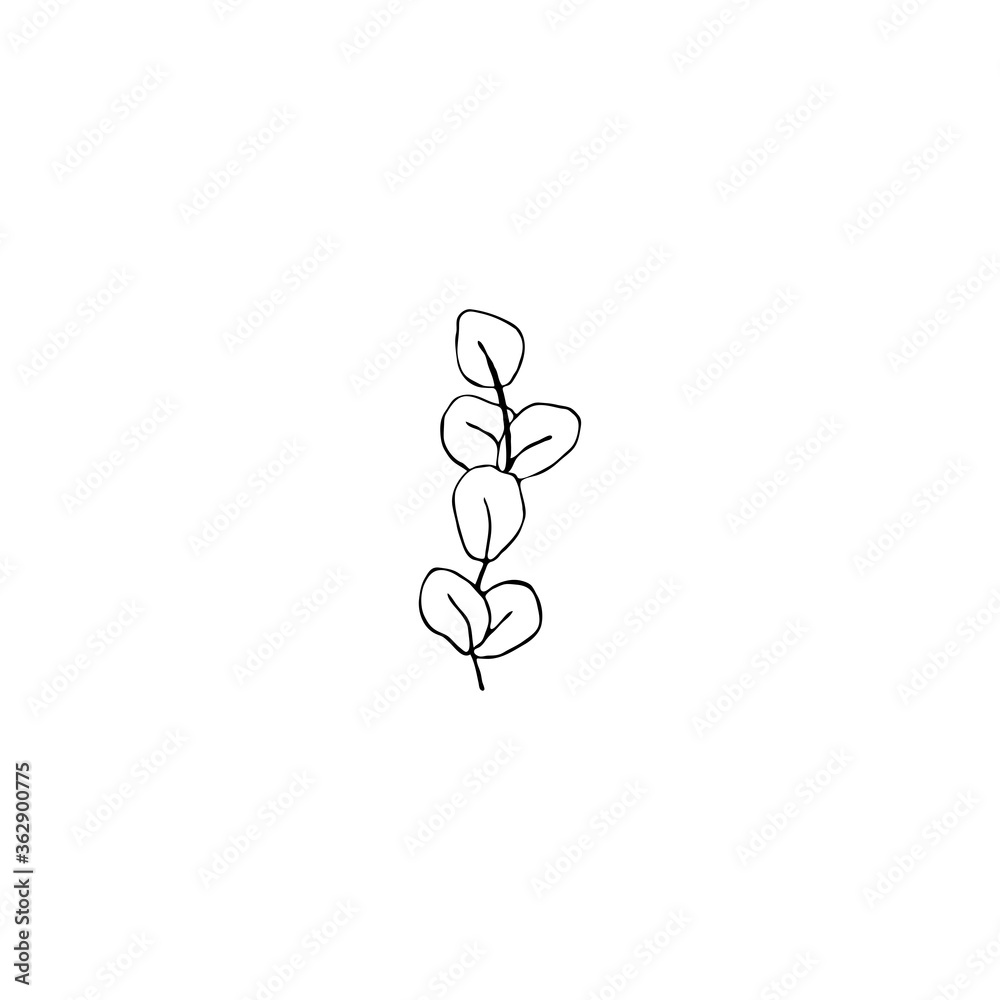 Black and white line art decoration of leaves. Vector isolated clipart. Minimal monochrome hand drawing botanical design. Contour engraving foliage Black and white line art decoration of leaves. Vector isolated clipart. Minimal monochrome hand drawing botanical design. Contour engraving foliage