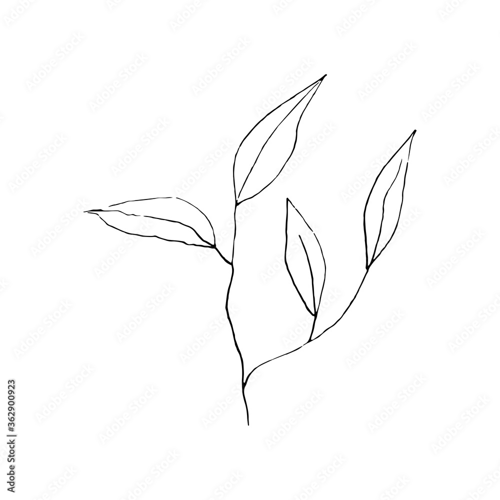 Black and white line art decoration of leaves. Vector isolated clipart ...