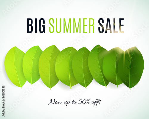 Big Summer Sale. Vector summer background with green leaves. 