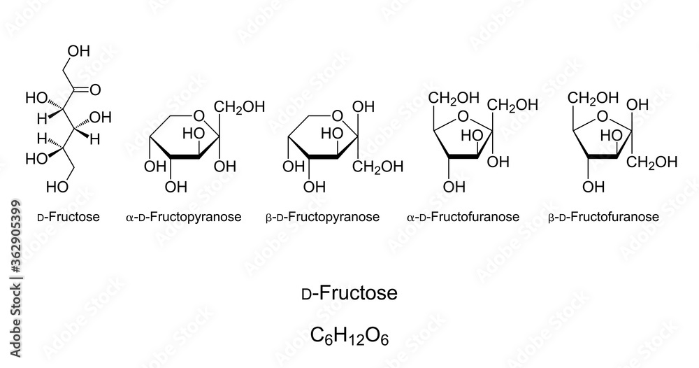 Fructose Chain Structure Fructose Chain Structure