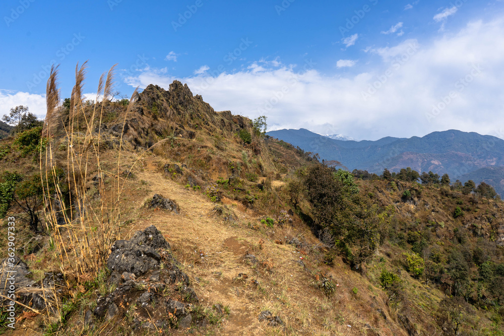 Himalayan Landscape