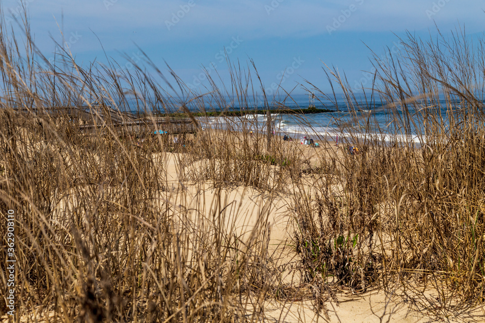 Obraz premium Delaware Ocean Sea Scape