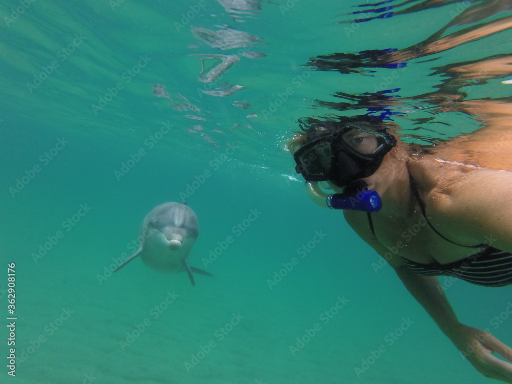 Snorkeling with dolphins selfie